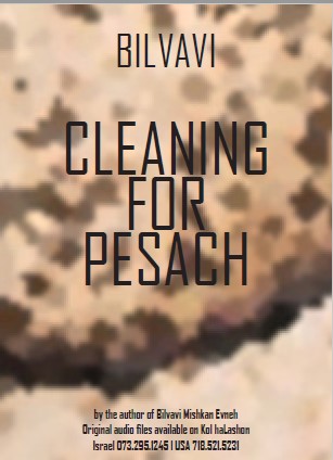 Cleaning for Pesach